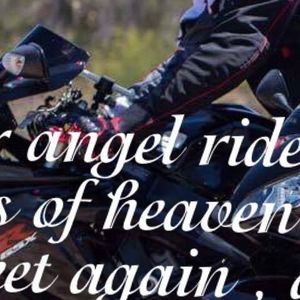 Meet your Posher, Harry